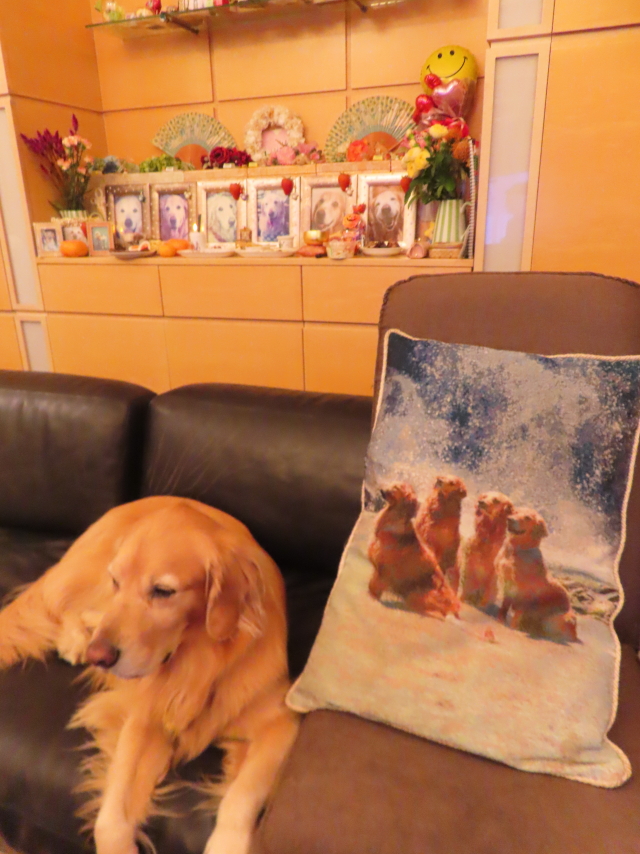 ファイル 8656-2.jpg