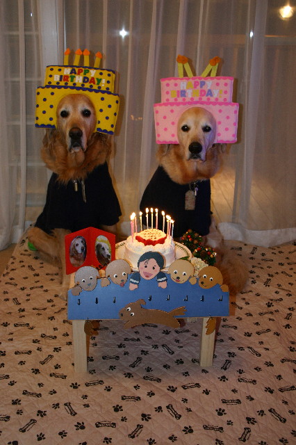 ファイル 8656-3.jpg