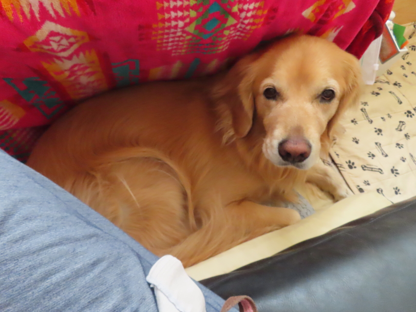 ファイル 8657-5.jpg