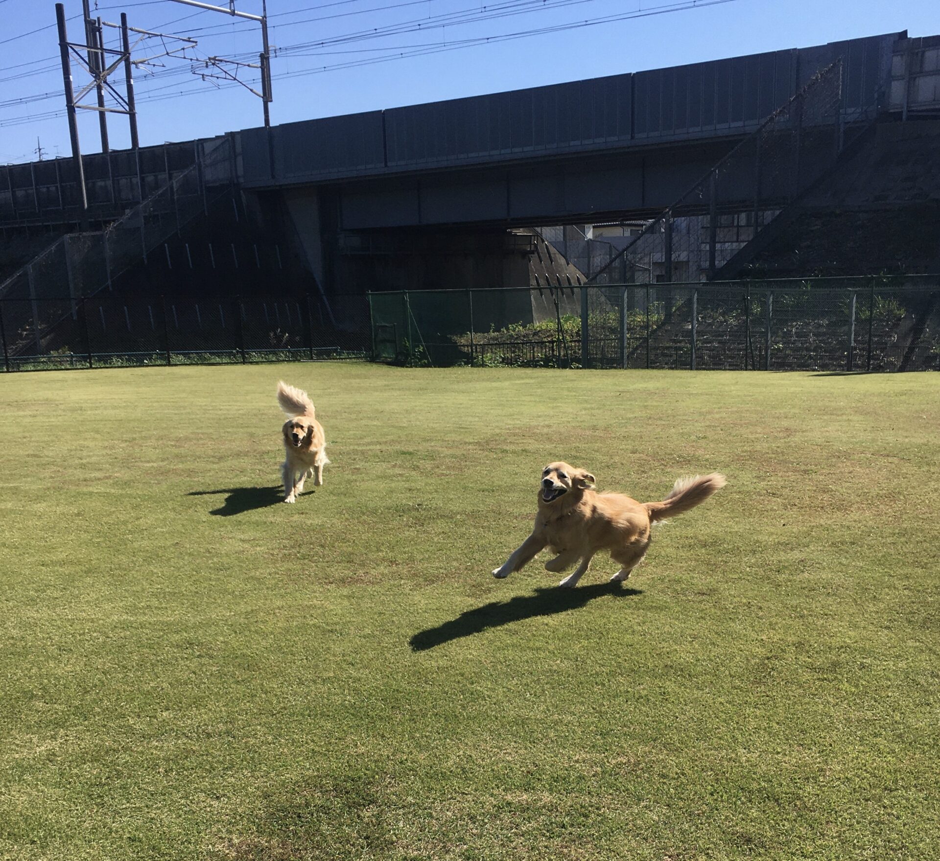 ファイル 8658-1.jpeg