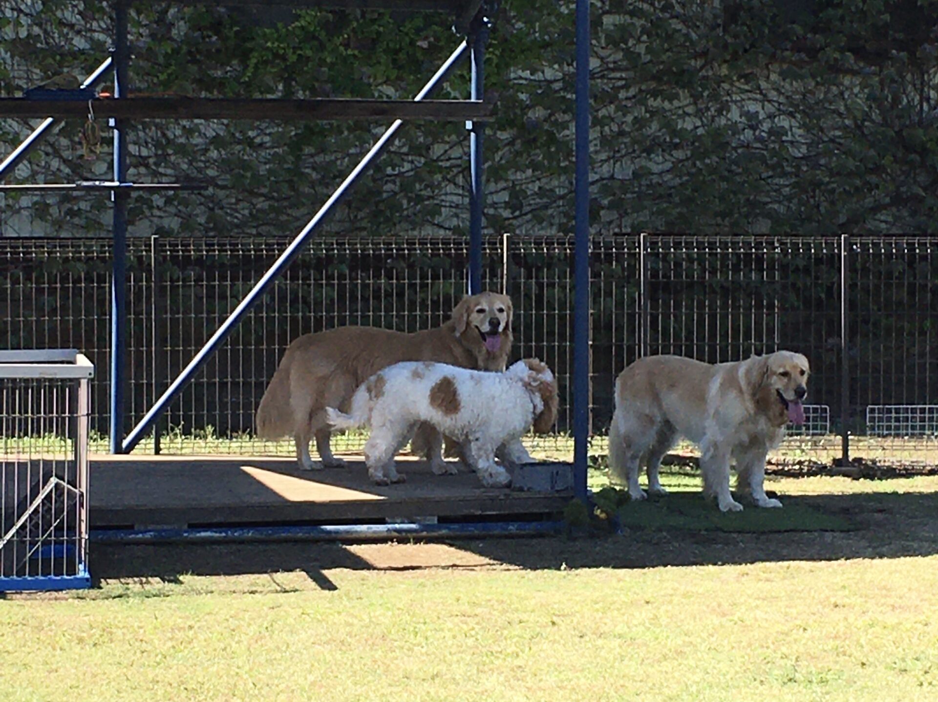 ファイル 8658-3.jpeg