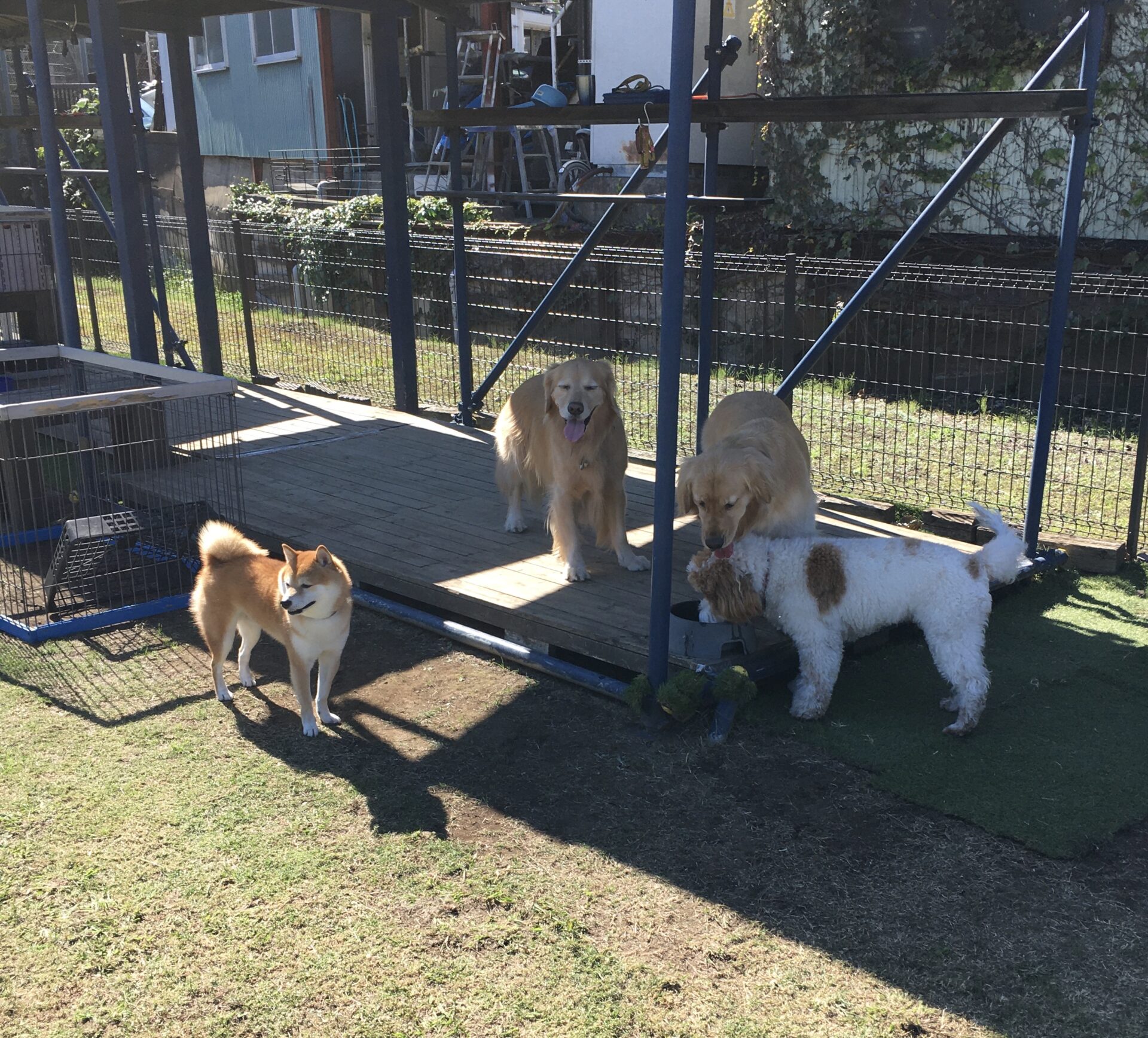 ファイル 8658-4.jpeg