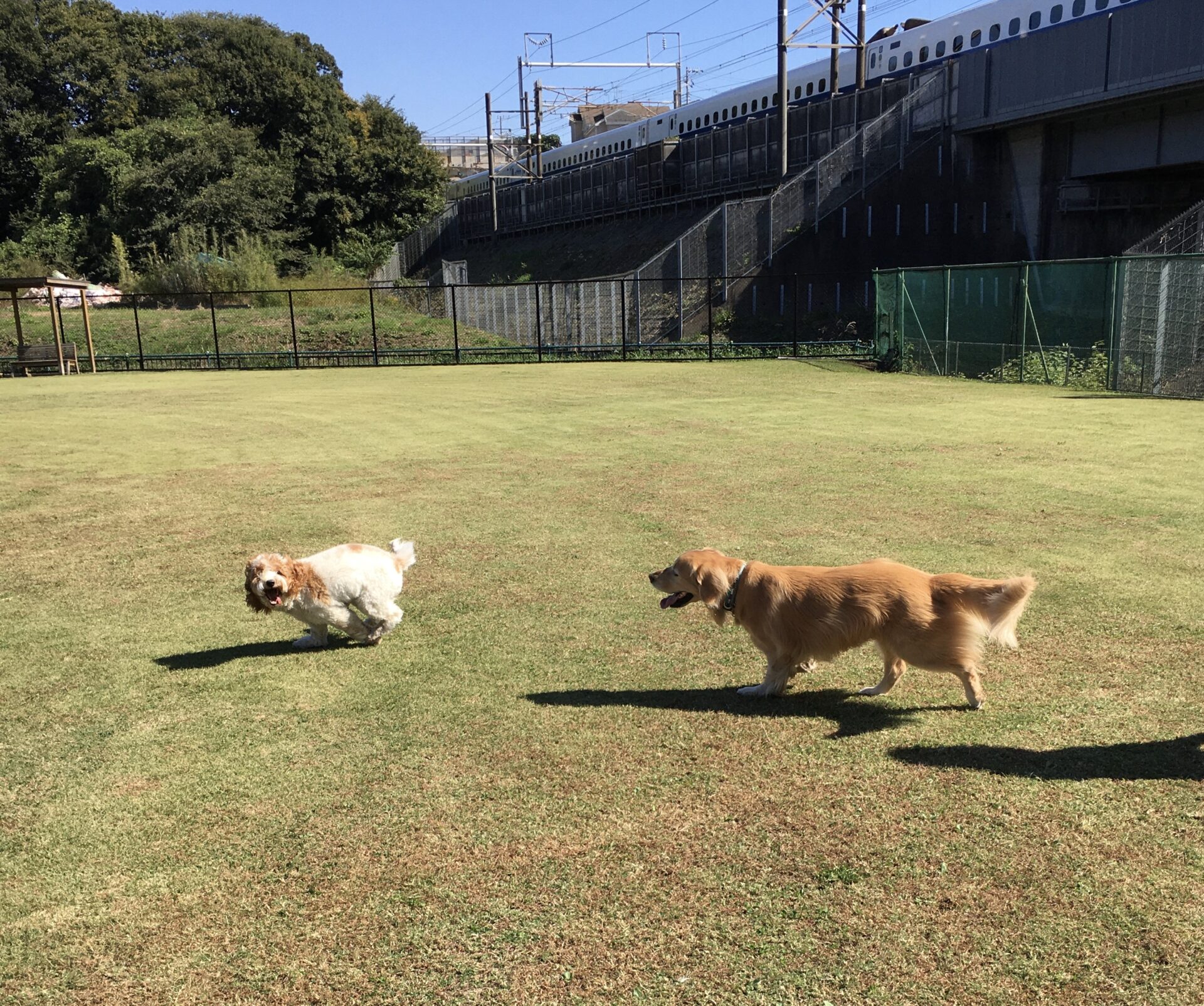 ファイル 8658-5.jpeg