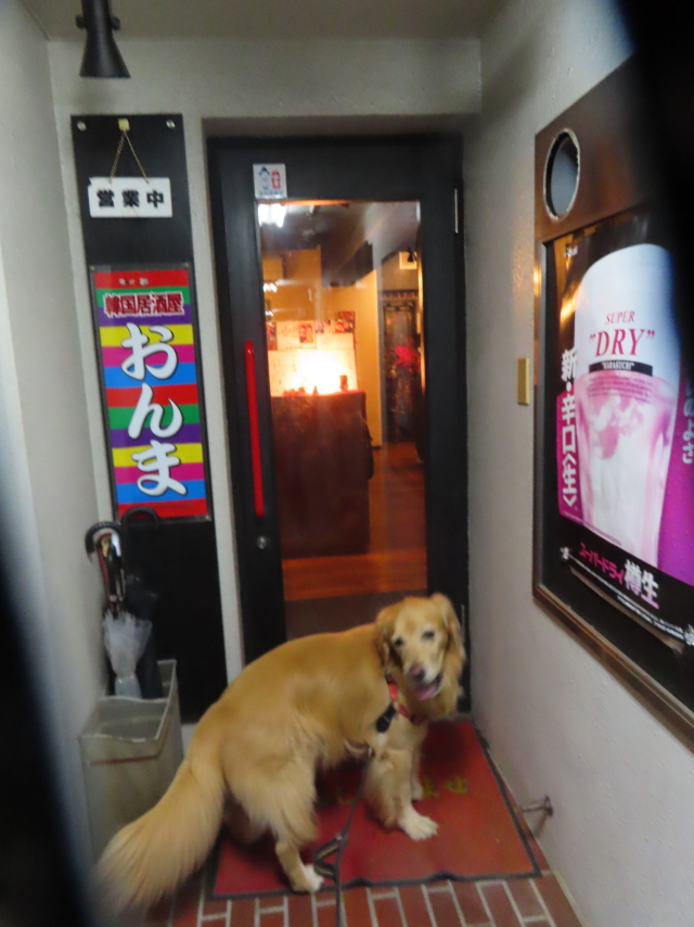 ファイル 8659-1.jpg