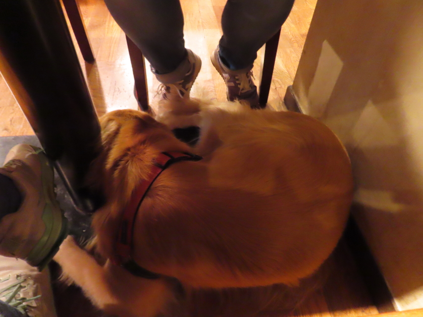 ファイル 8659-2.jpg