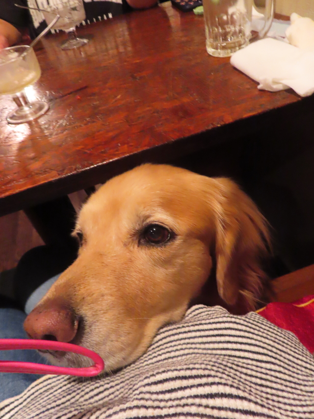 ファイル 8659-5.jpg