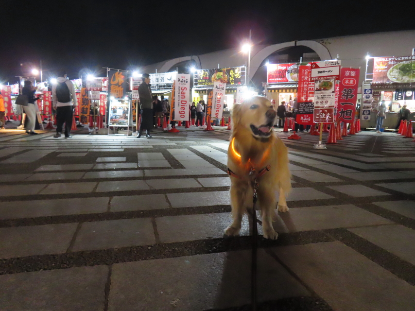 ファイル 8660-2.jpg