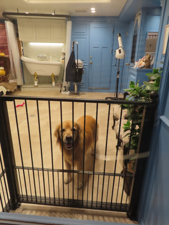 ファイル 8661-2.jpg