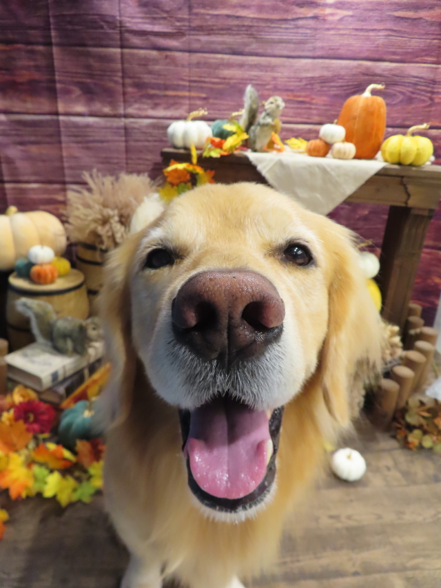 ファイル 8661-4.jpg