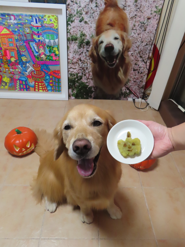 ファイル 8661-5.jpg