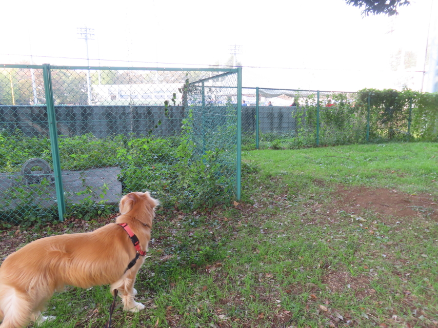 ファイル 8662-3.jpg