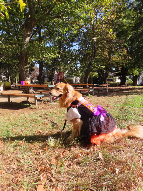 ファイル 8663-2.jpg