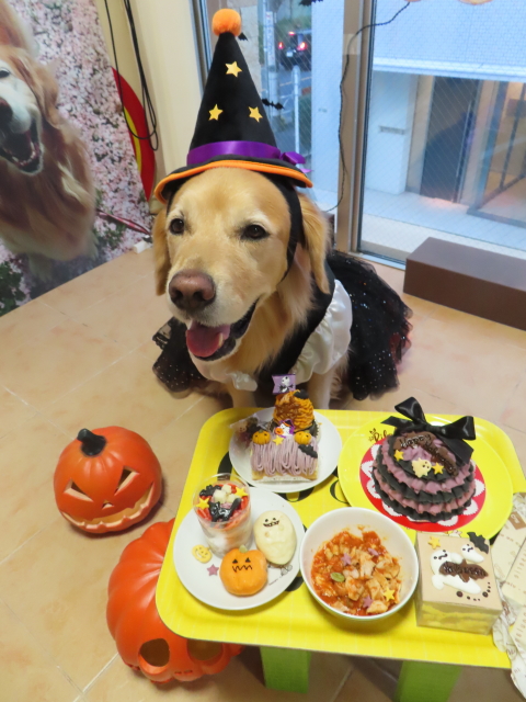 ファイル 8663-4.jpg