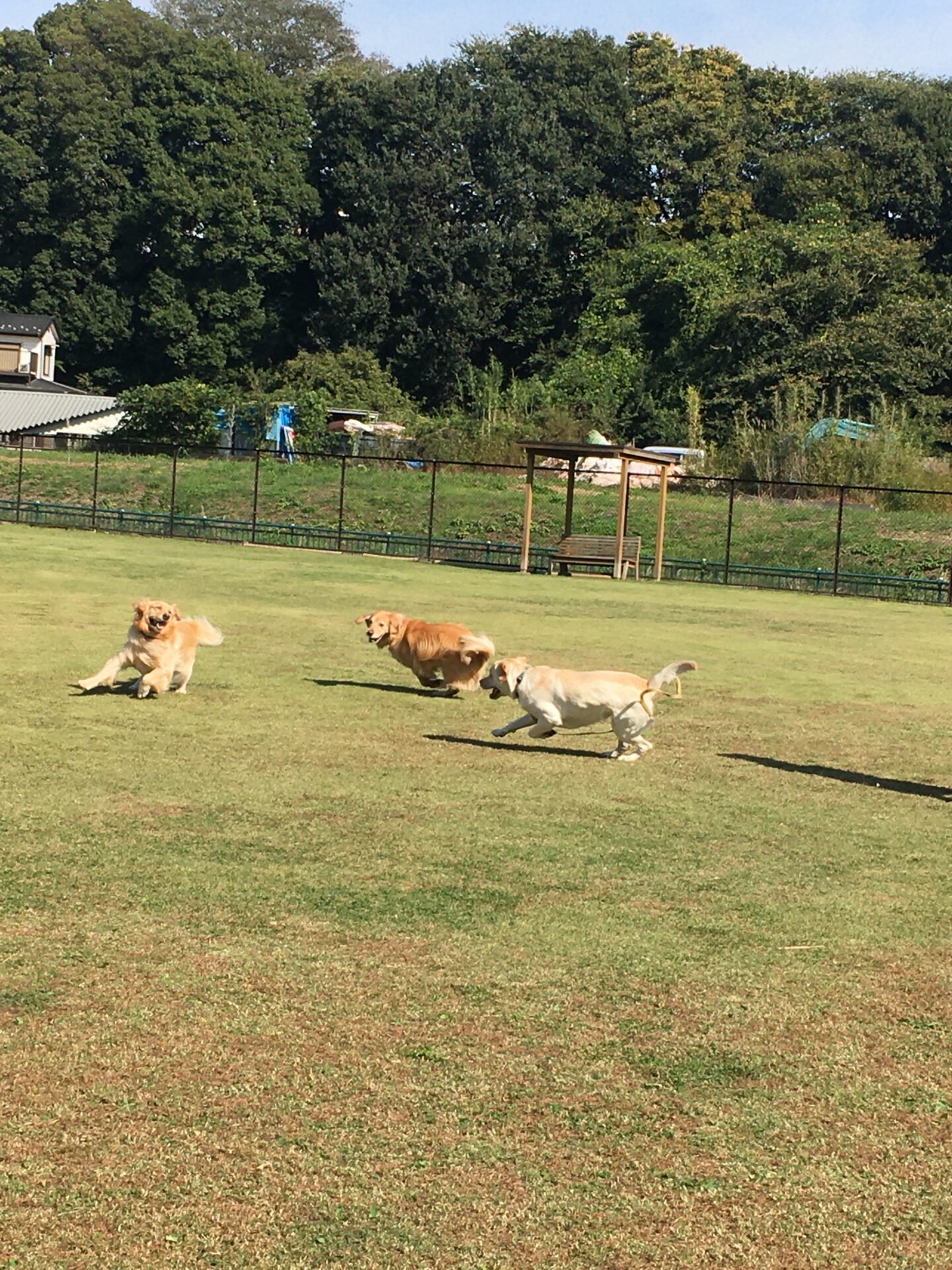 ファイル 8664-2.jpeg