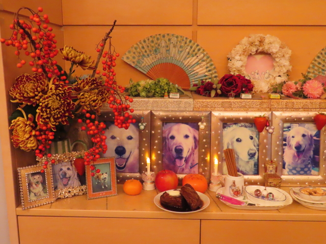 ファイル 8665-2.jpg