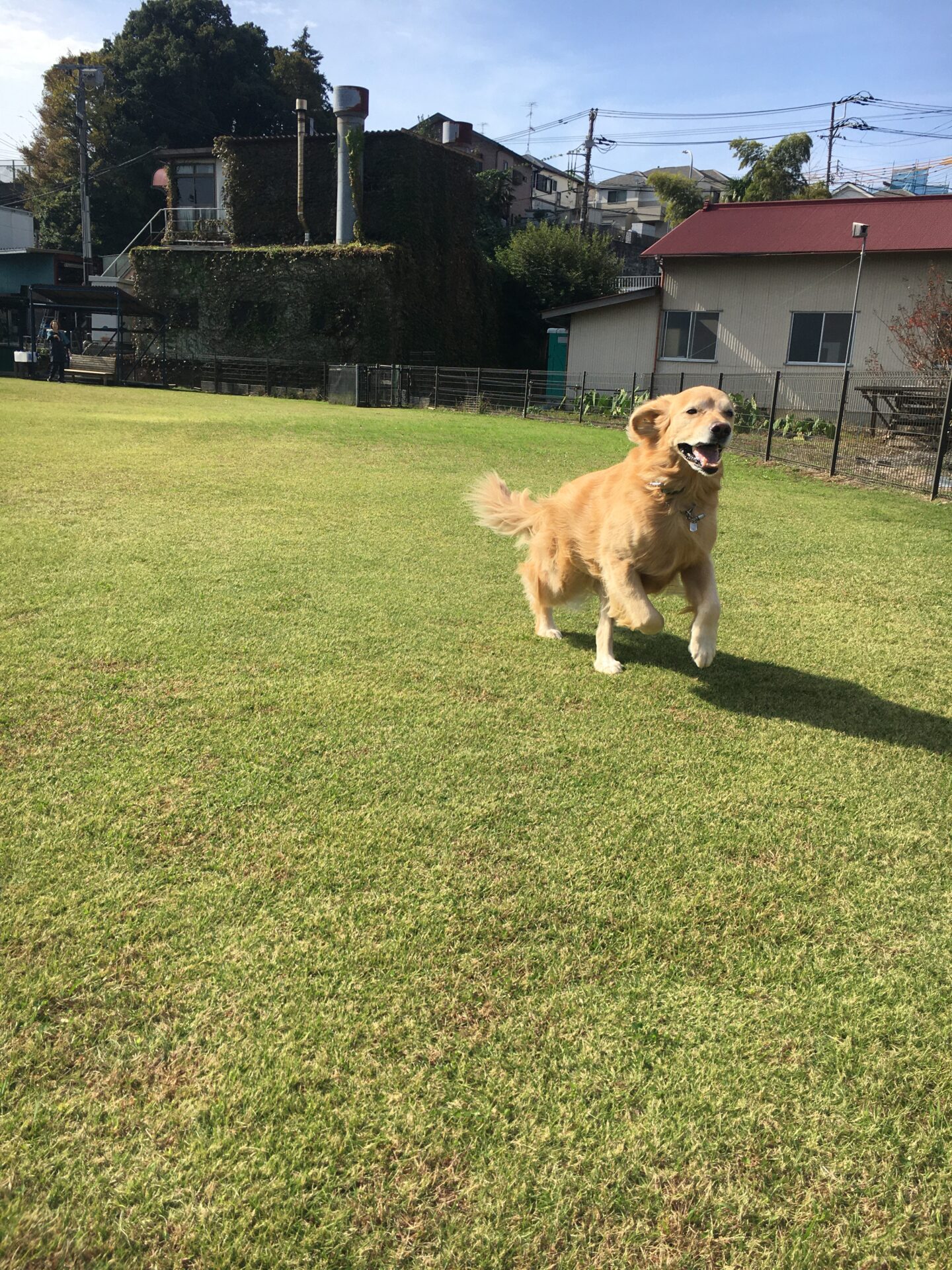 ファイル 8666-1.jpeg