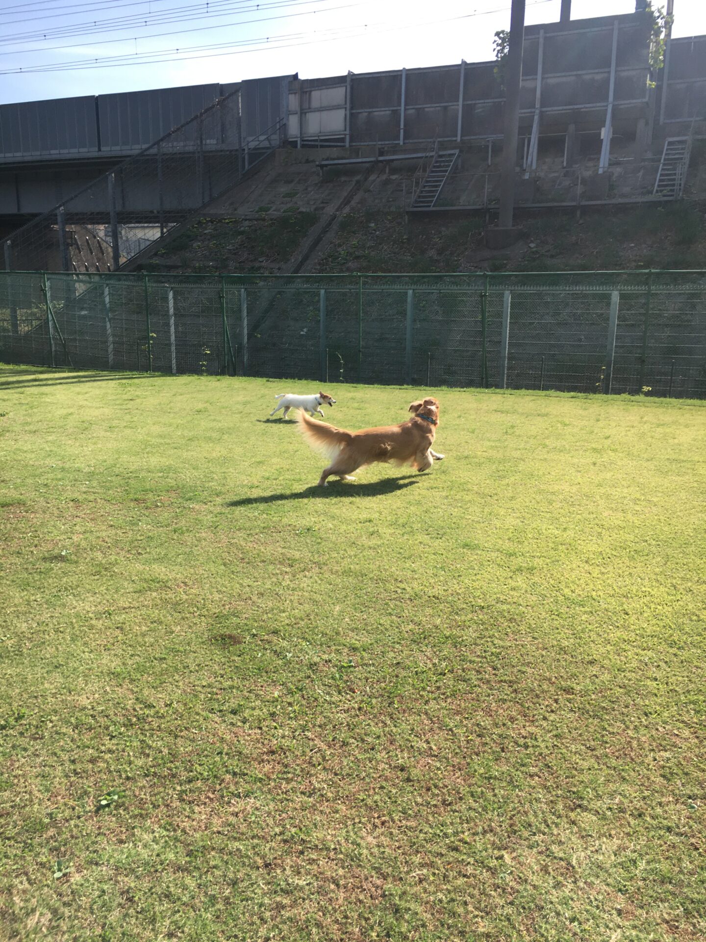 ファイル 8666-3.jpeg