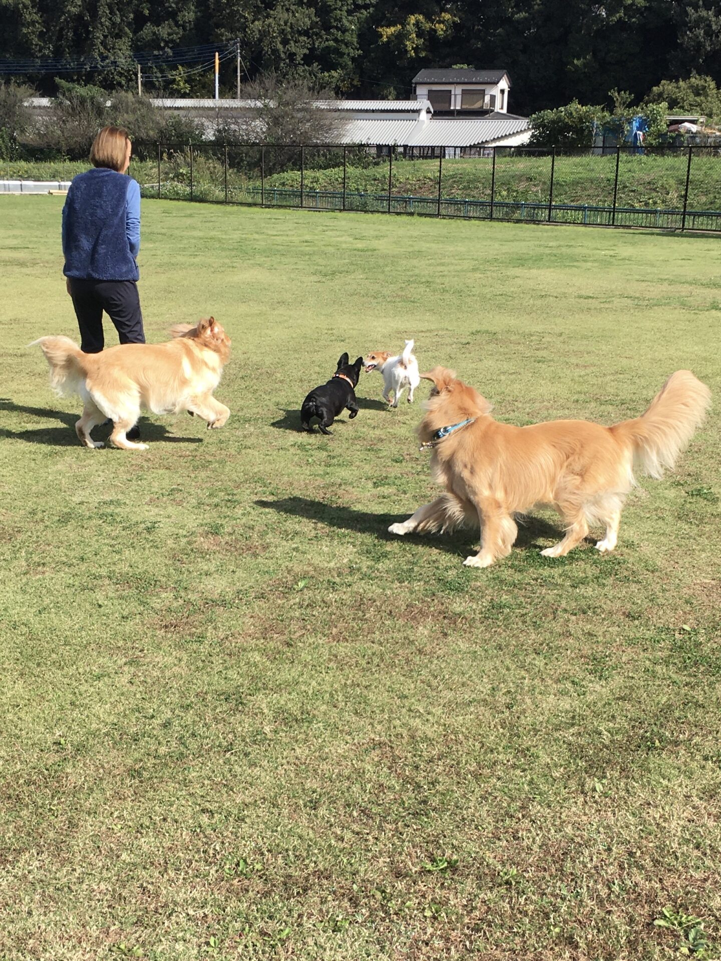 ファイル 8666-5.jpeg