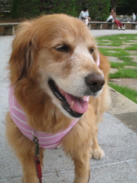 ファイル 867-3.jpg