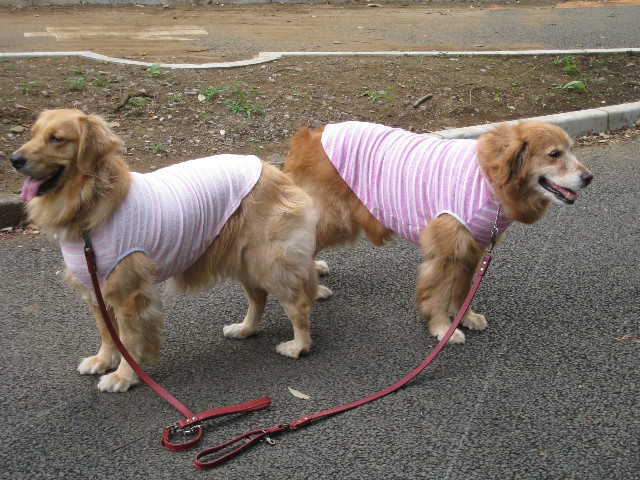 ファイル 867-4.jpg