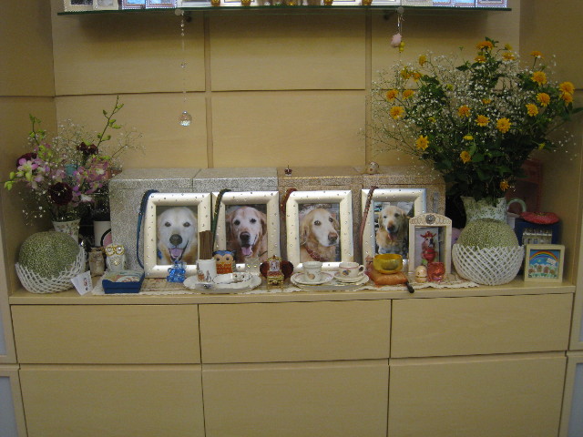 ファイル 867-5.jpg