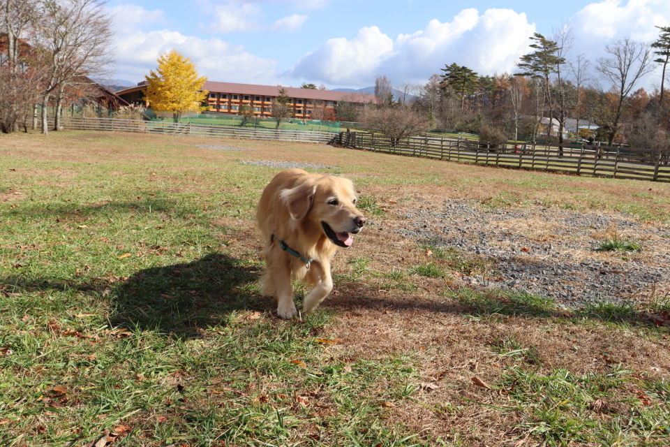 ファイル 8670-1.jpg