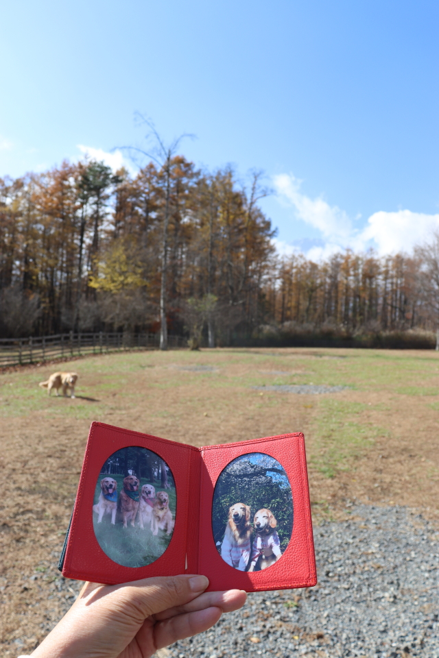 ファイル 8670-2.jpg