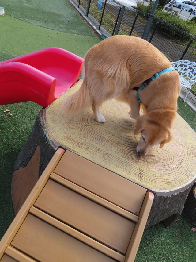 ファイル 8670-4.jpg