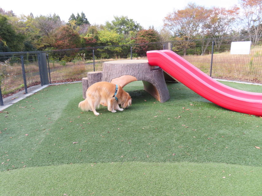 ファイル 8670-5.jpg