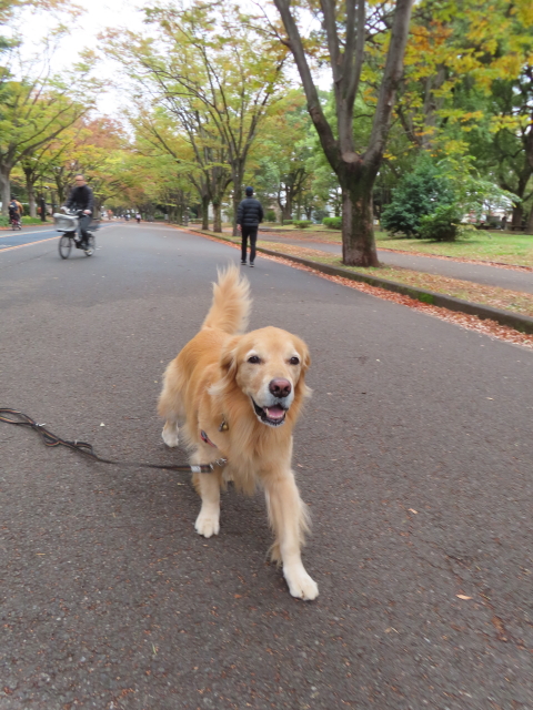 ファイル 8672-2.jpg