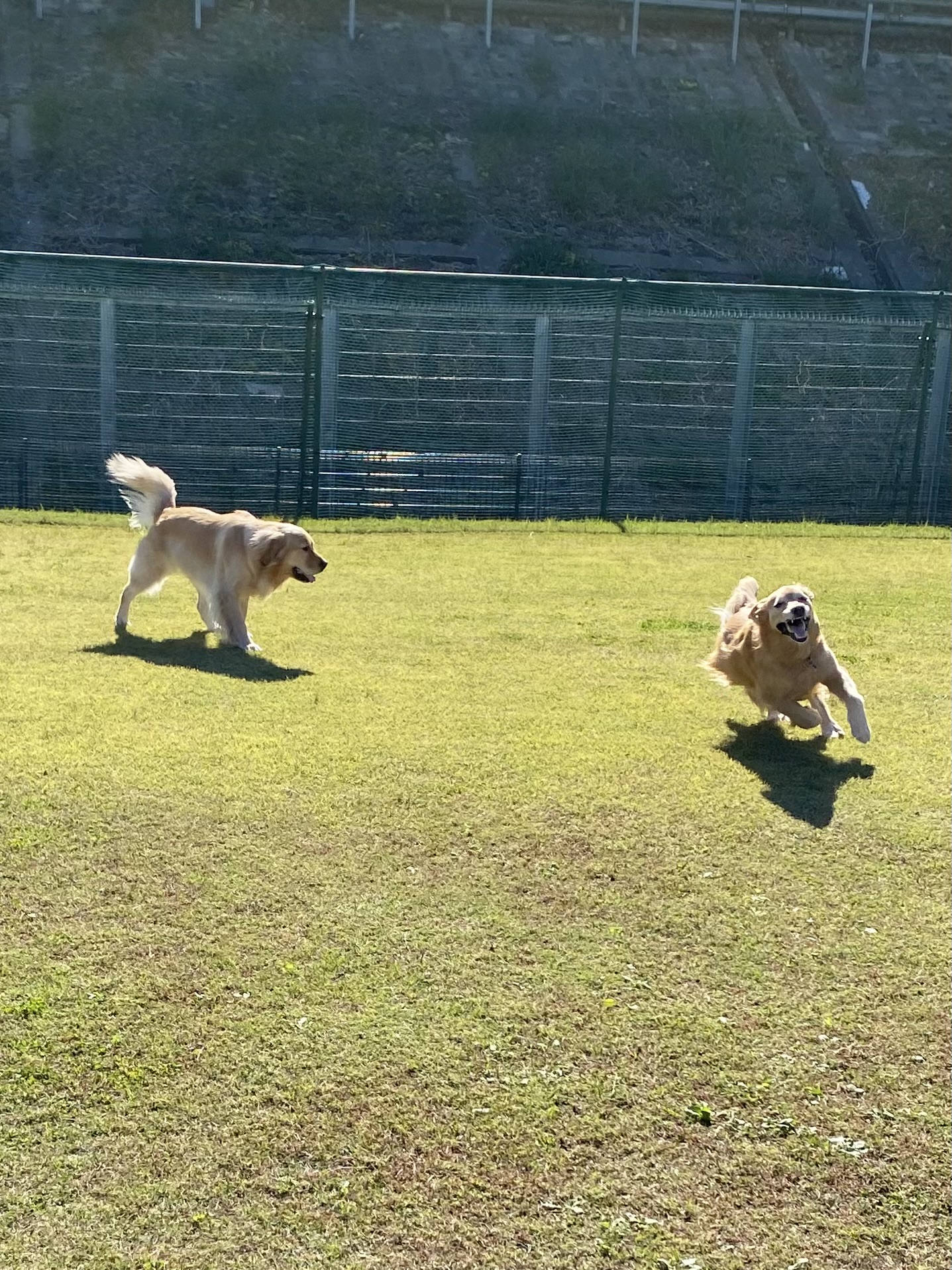 ファイル 8673-1.jpeg