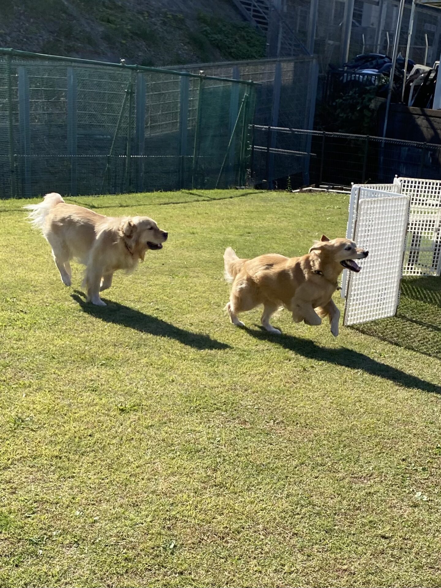 ファイル 8673-2.jpeg