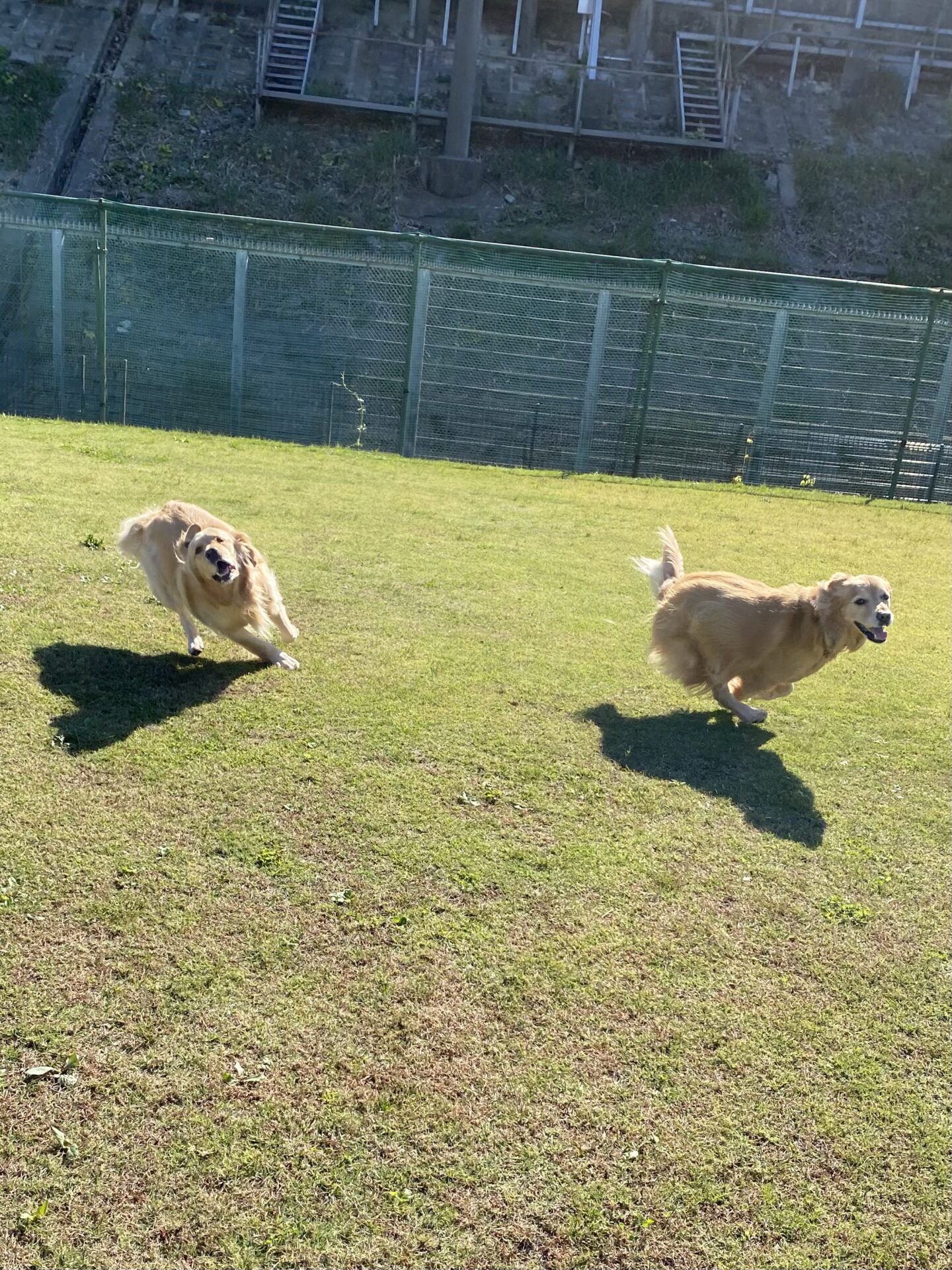 ファイル 8673-3.jpeg