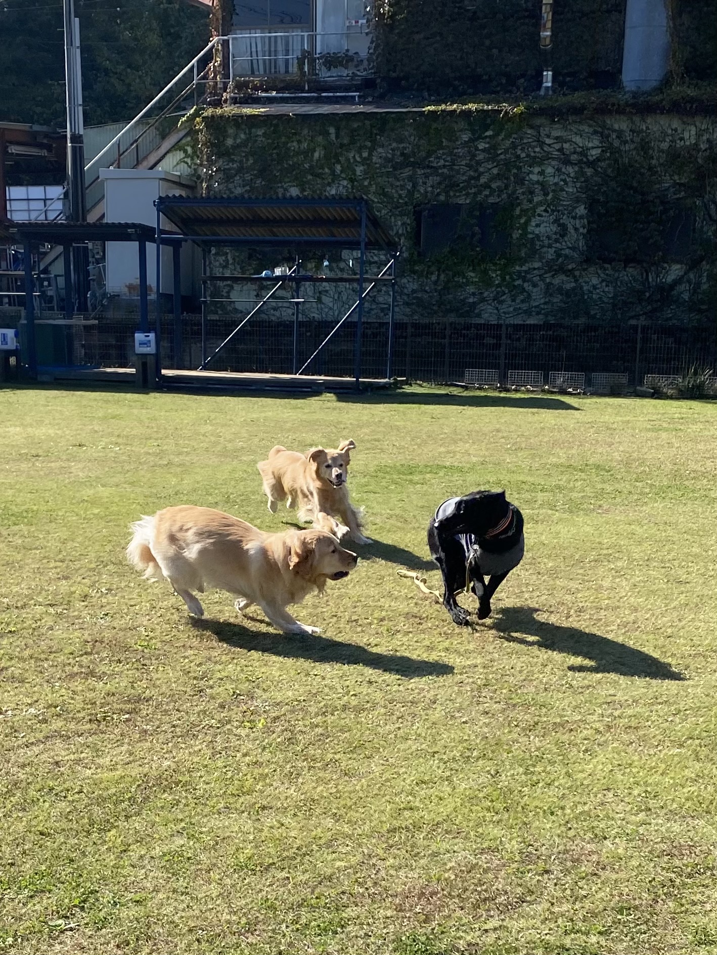 ファイル 8673-5.jpeg