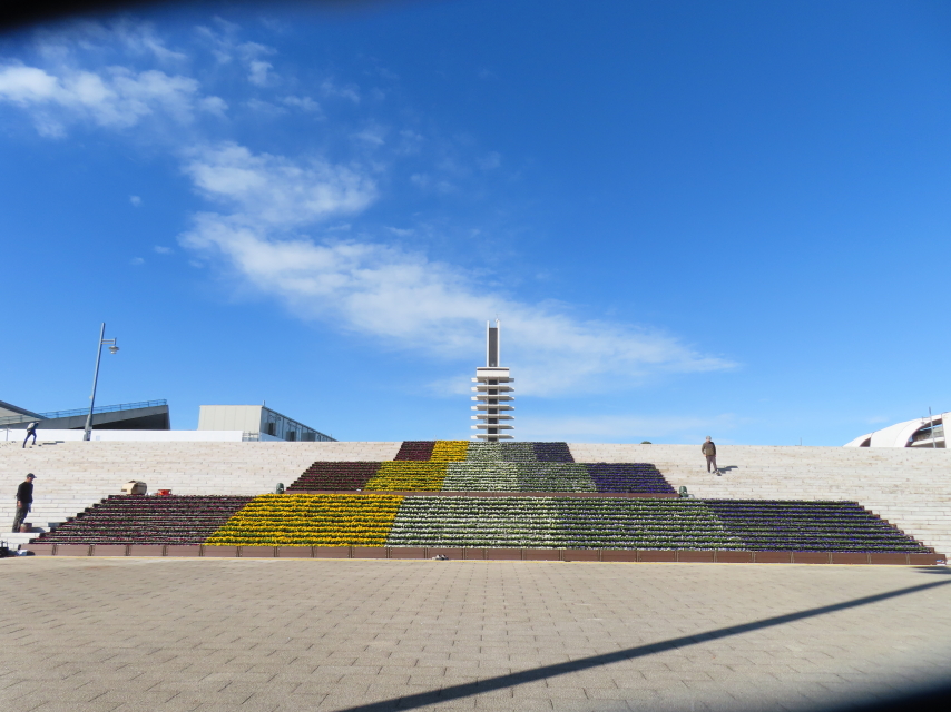 ファイル 8674-1.jpg