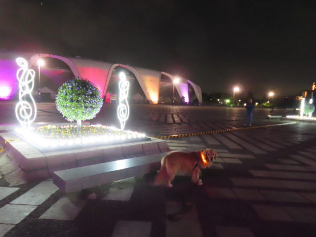 ファイル 8675-1.jpg