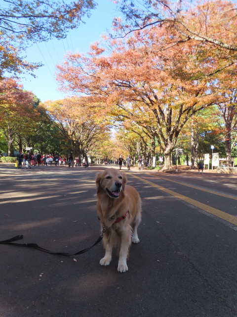 ファイル 8676-1.jpg