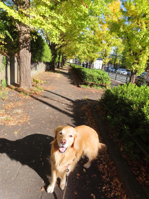 ファイル 8676-2.jpg