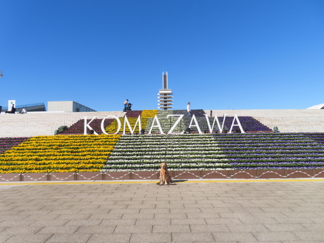 ファイル 8676-3.jpg