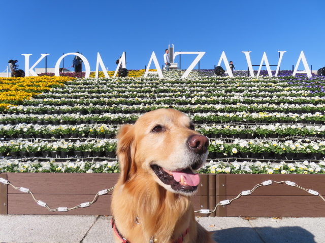 ファイル 8676-4.jpg