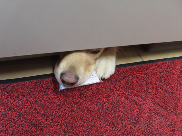 ファイル 8677-2.jpg