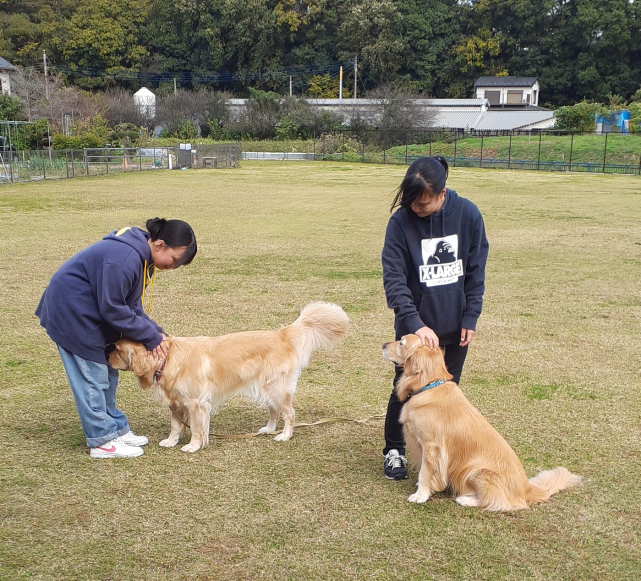 ファイル 8678-1.jpeg