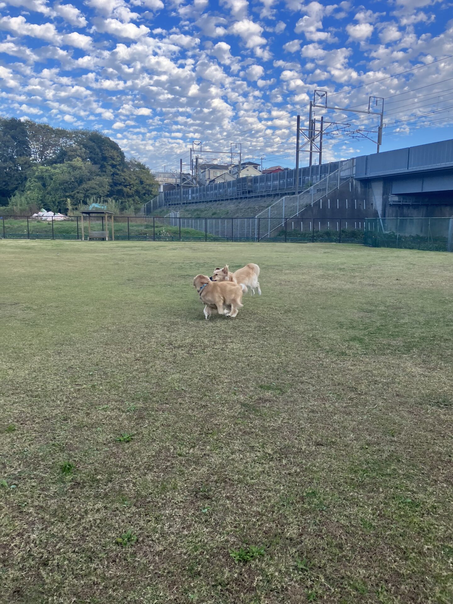 ファイル 8678-5.jpeg