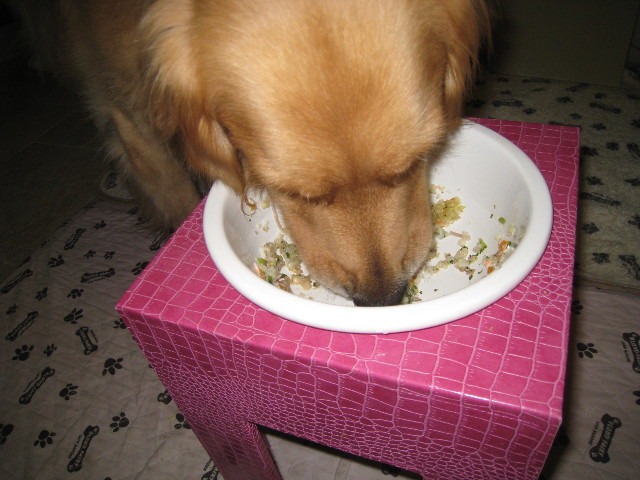 ファイル 868-3.jpg