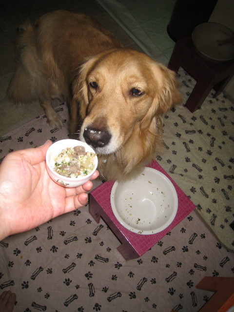 ファイル 868-4.jpg