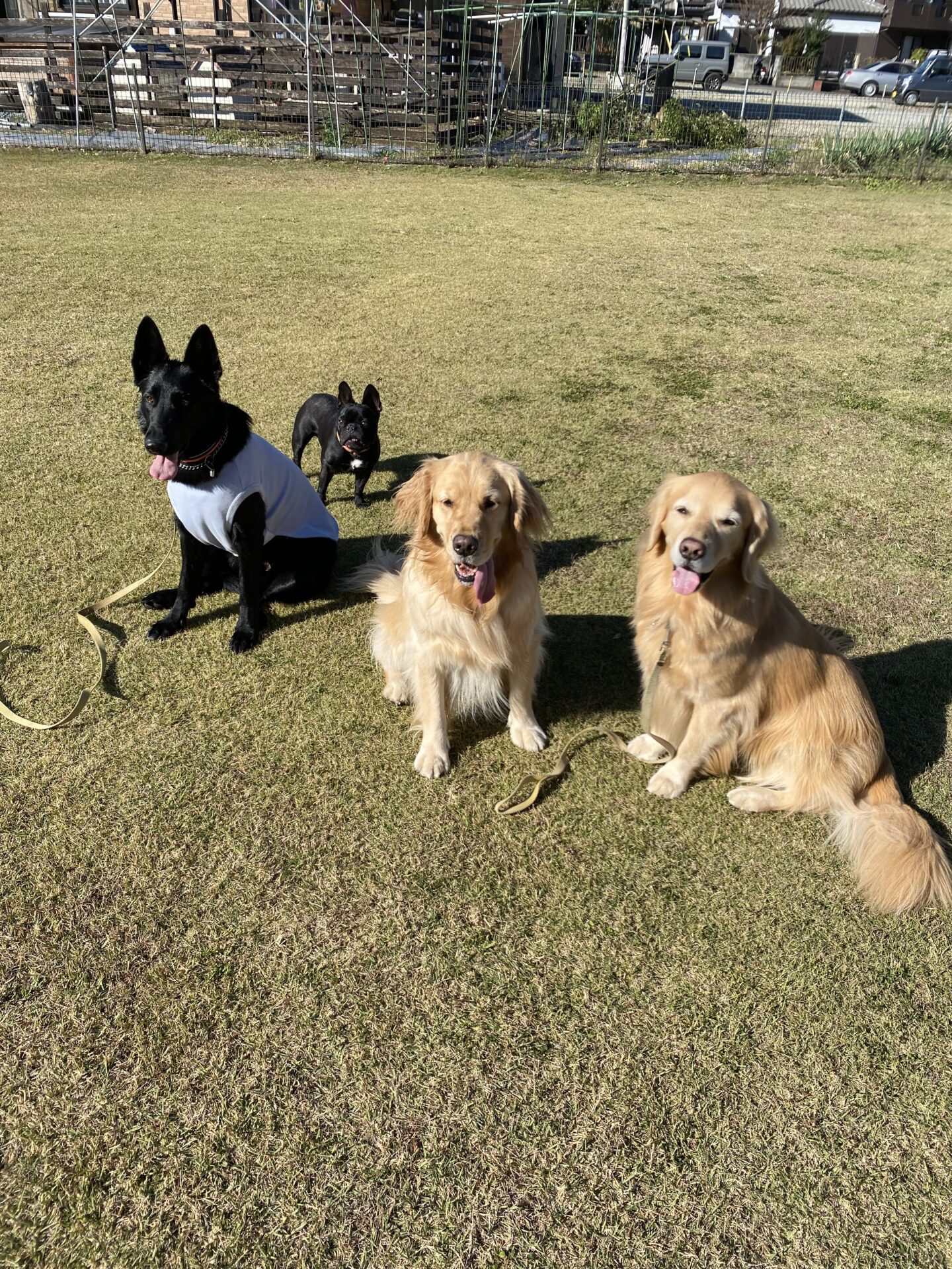 ファイル 8681-1.jpeg