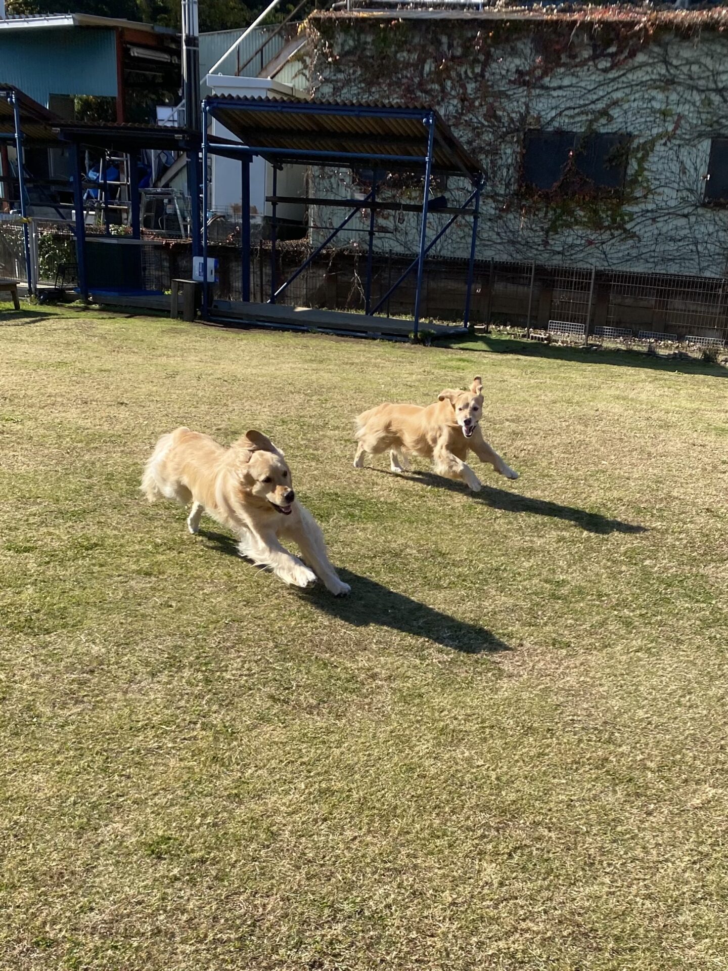 ファイル 8681-2.jpeg