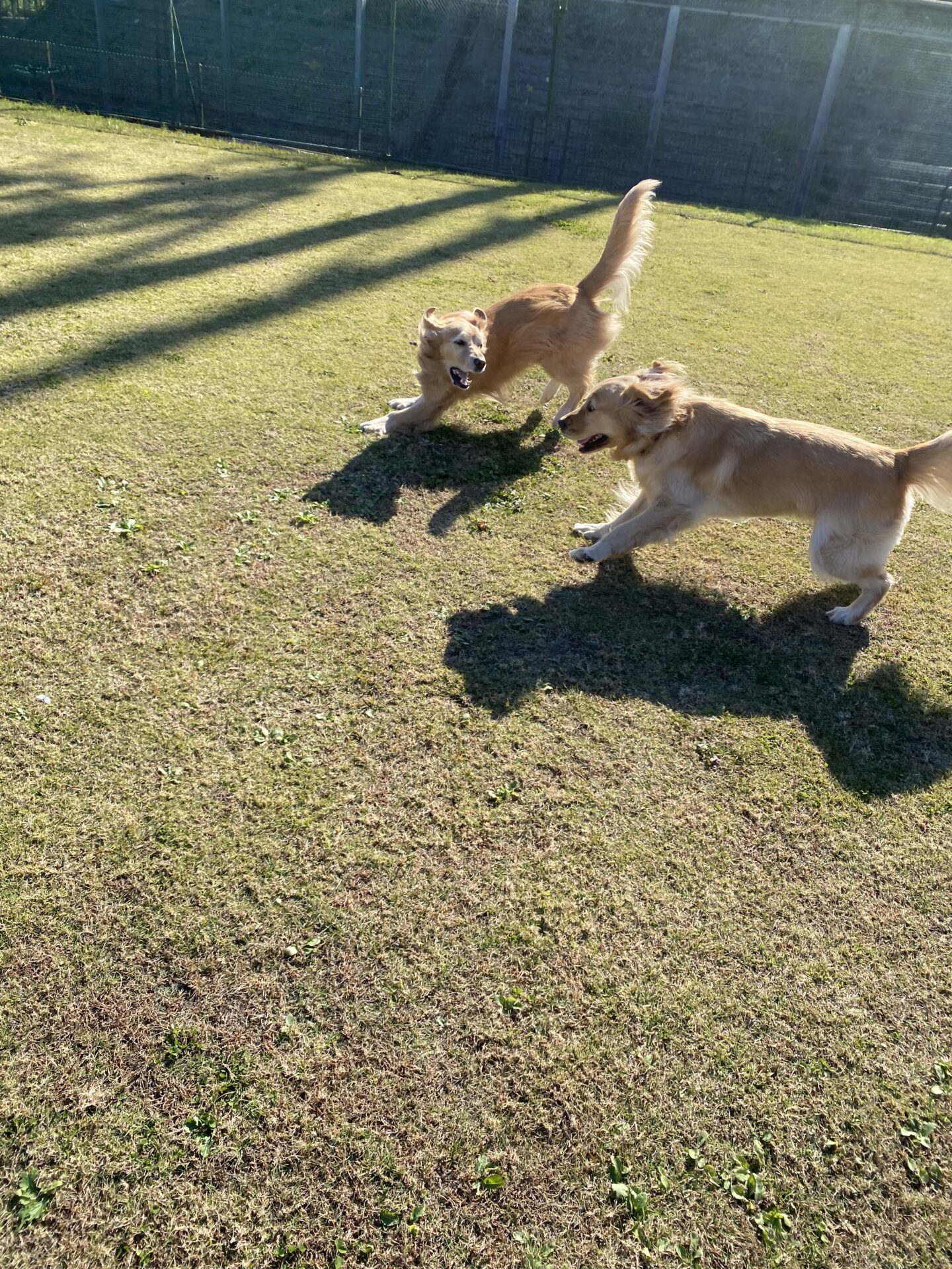 ファイル 8681-5.jpeg