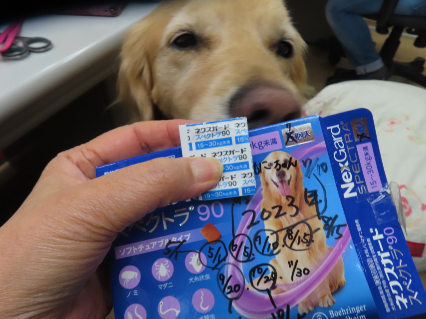 ファイル 8683-5.jpg