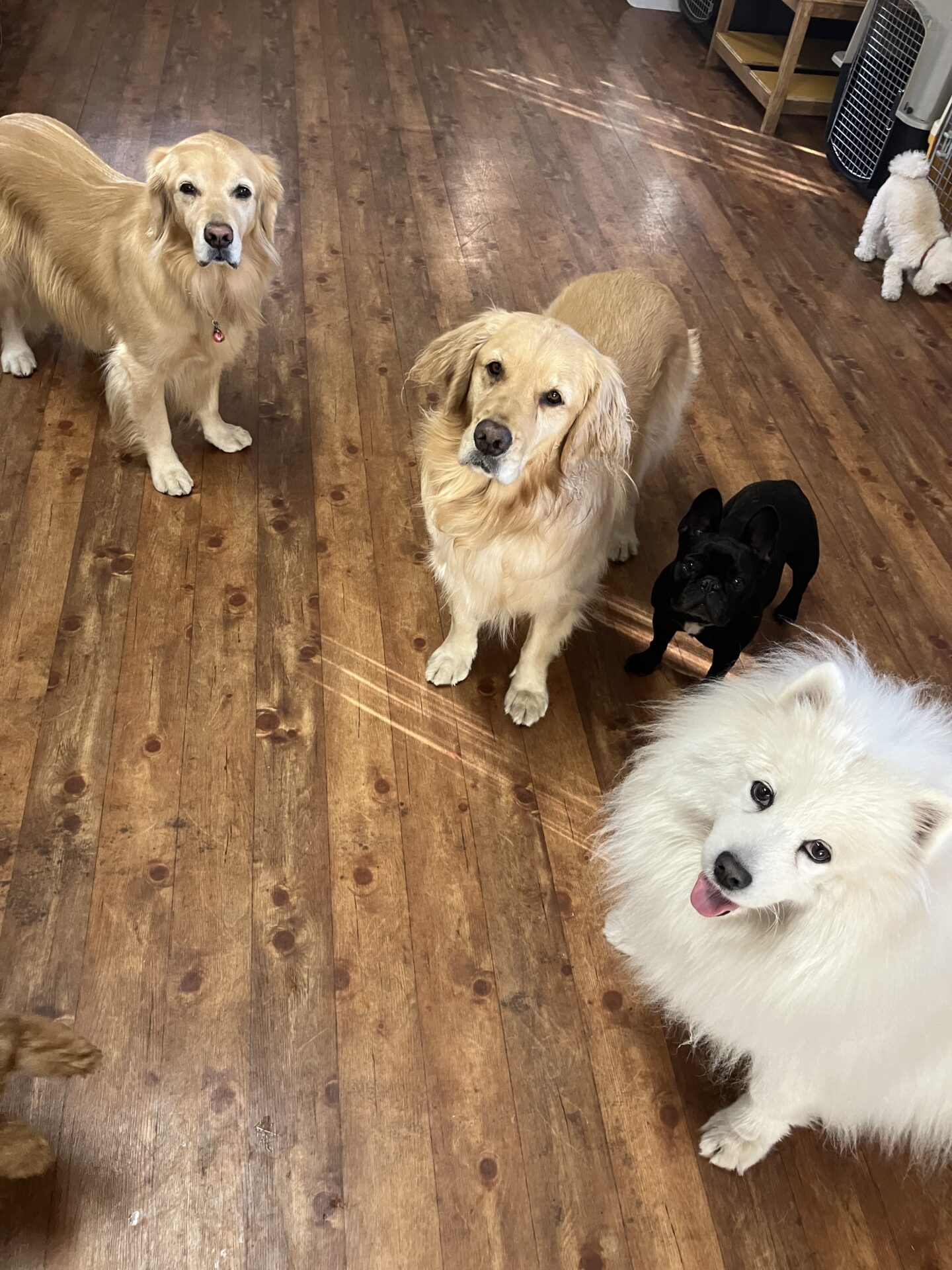 ファイル 8687-5.jpeg